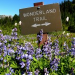 Wonderland Trail