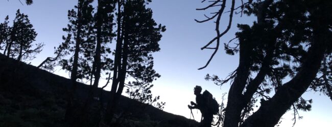 Joe on the trail at treeline
