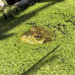 img_0838.jpg