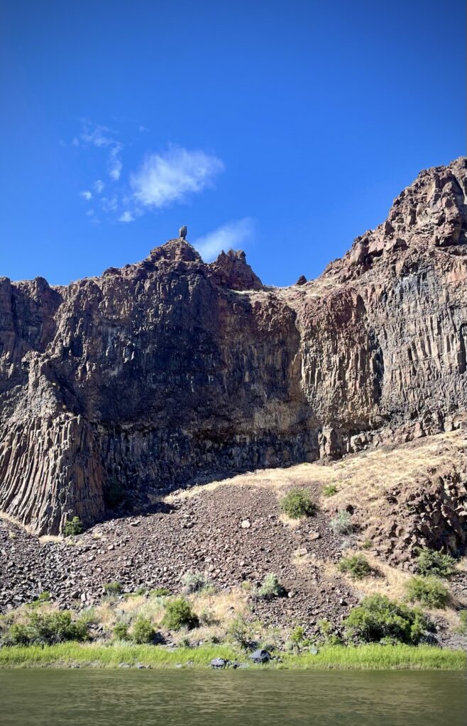 The "owl" rock