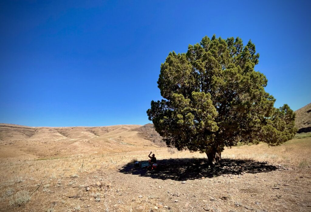 Sam under a tree