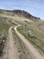 ORV road